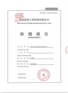 安康公司检测报告